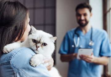 Who is responsible for your pet's health? A comprehensive guide