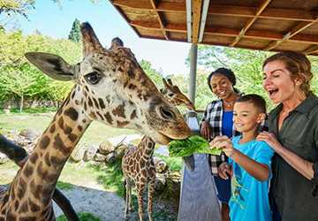 7 Best Zoos in New York City for a Fun Day Trip with the Family